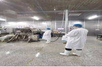 公司聘請(qǐng)專家對(duì)隆鑫菲特進(jìn)行職業(yè)危害因素檢測