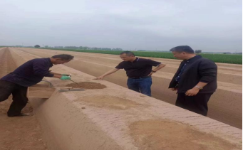 4月15日，公司李總、原料王愛兵、品管王文文奔赴菏澤深入田間地頭考察原料種植采收情況