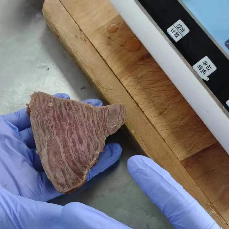 6 月初，菲特研發(fā)部到青島特斯特公司深入交流